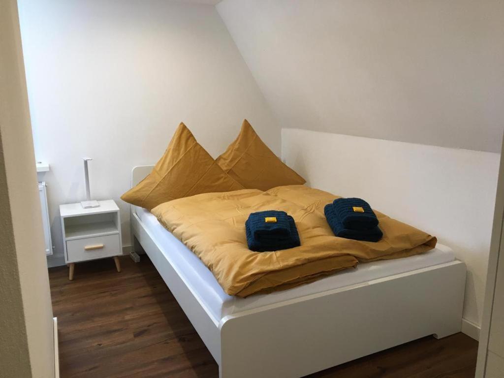 Berghaus 2 Komfortable Wohnungen Fuer Bis Zu 7 Personen - Familie - Wandern - E-Bike - Hunde - E-Ladesaeule - Wifi Schmallenberg Exteriér fotografie